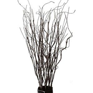 10PCS Lifelike Curly Willow Branches Decorative Dried Artificial Twig,30.7Inches